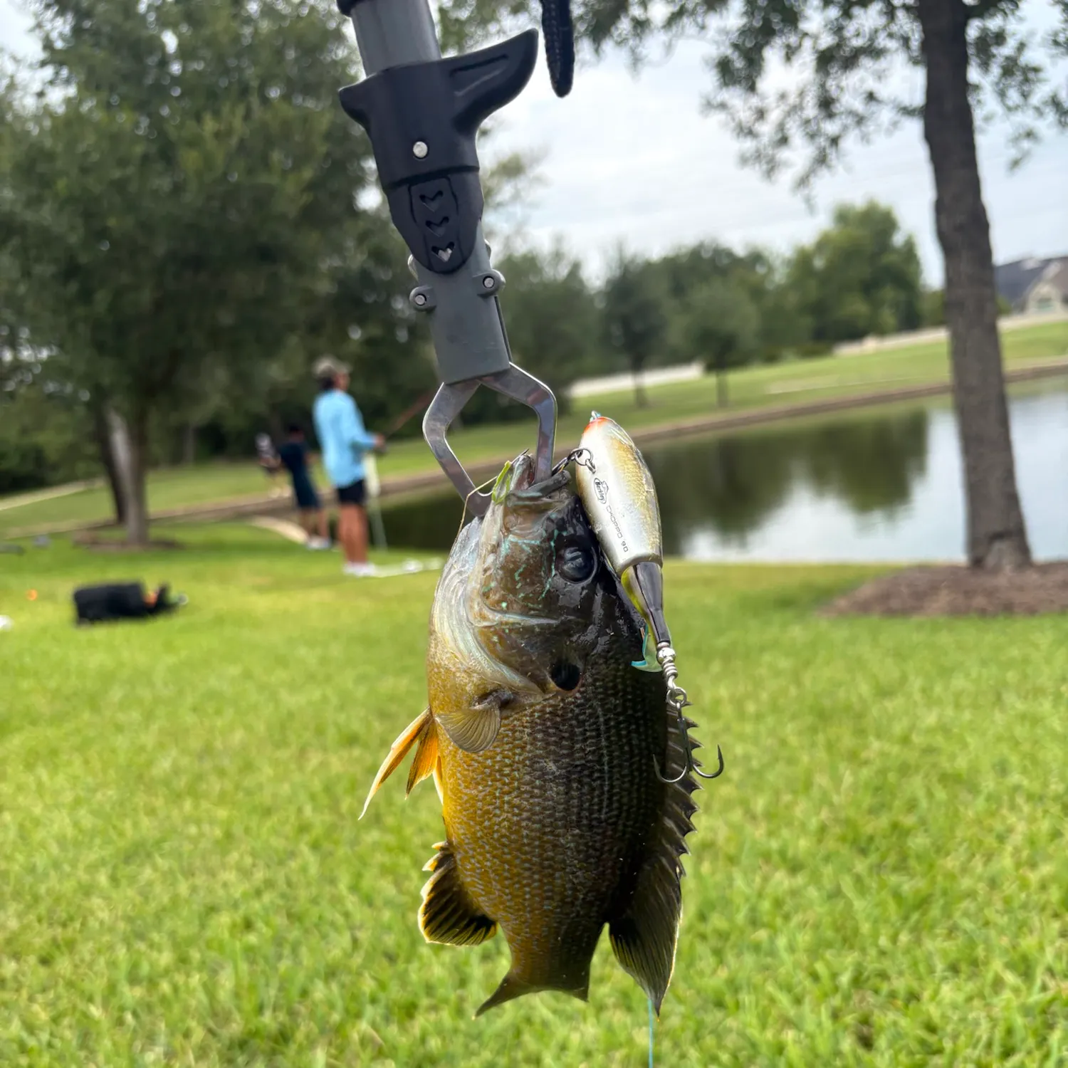 catch