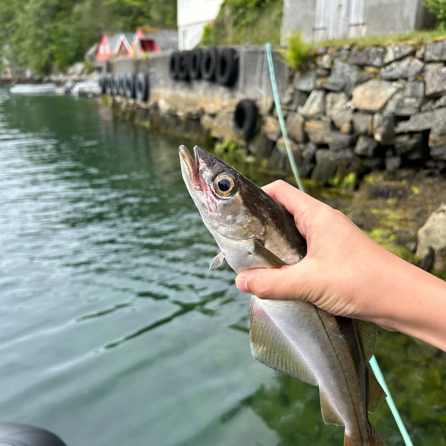 most liked catch image
