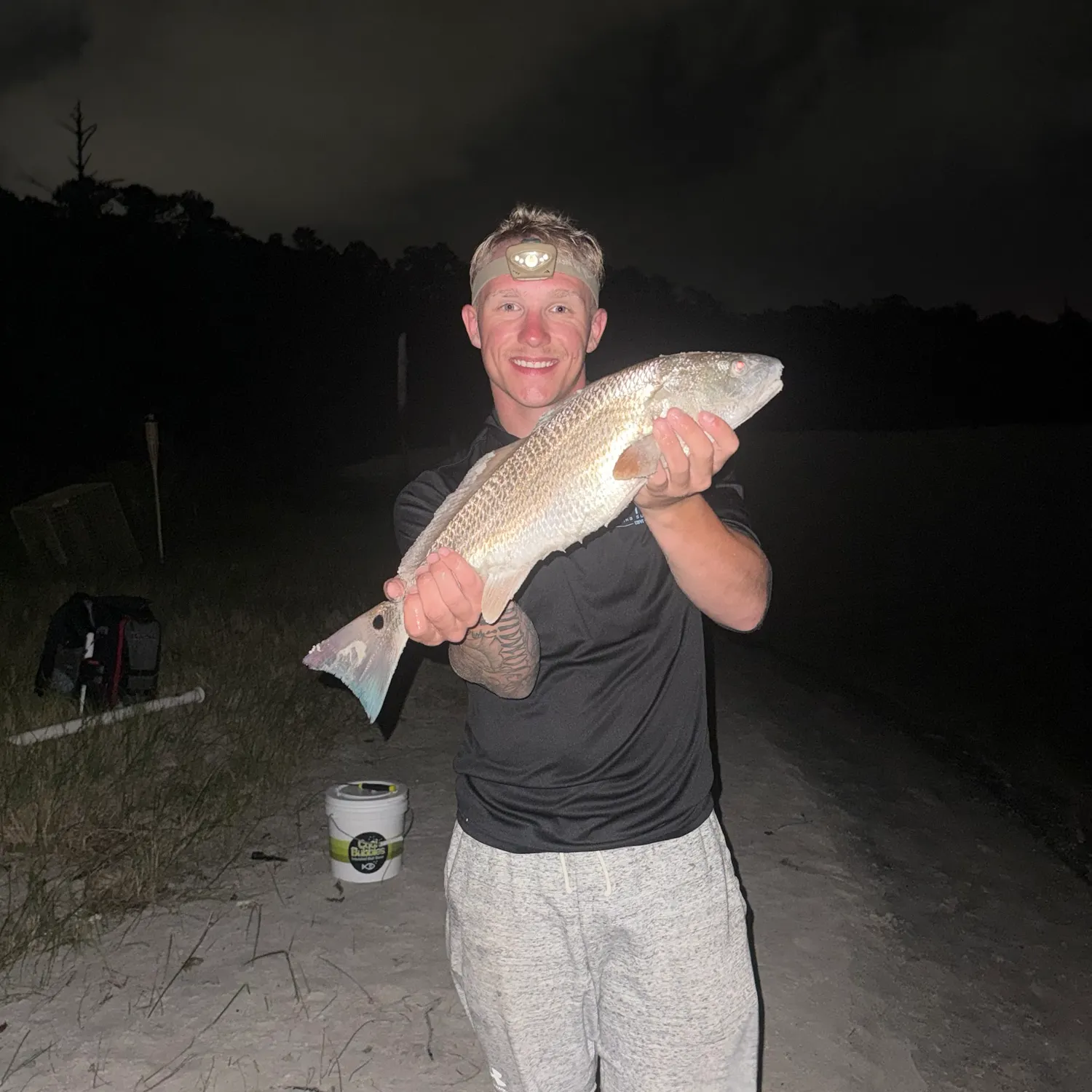 The most recent Red drum catches on Fishbrain