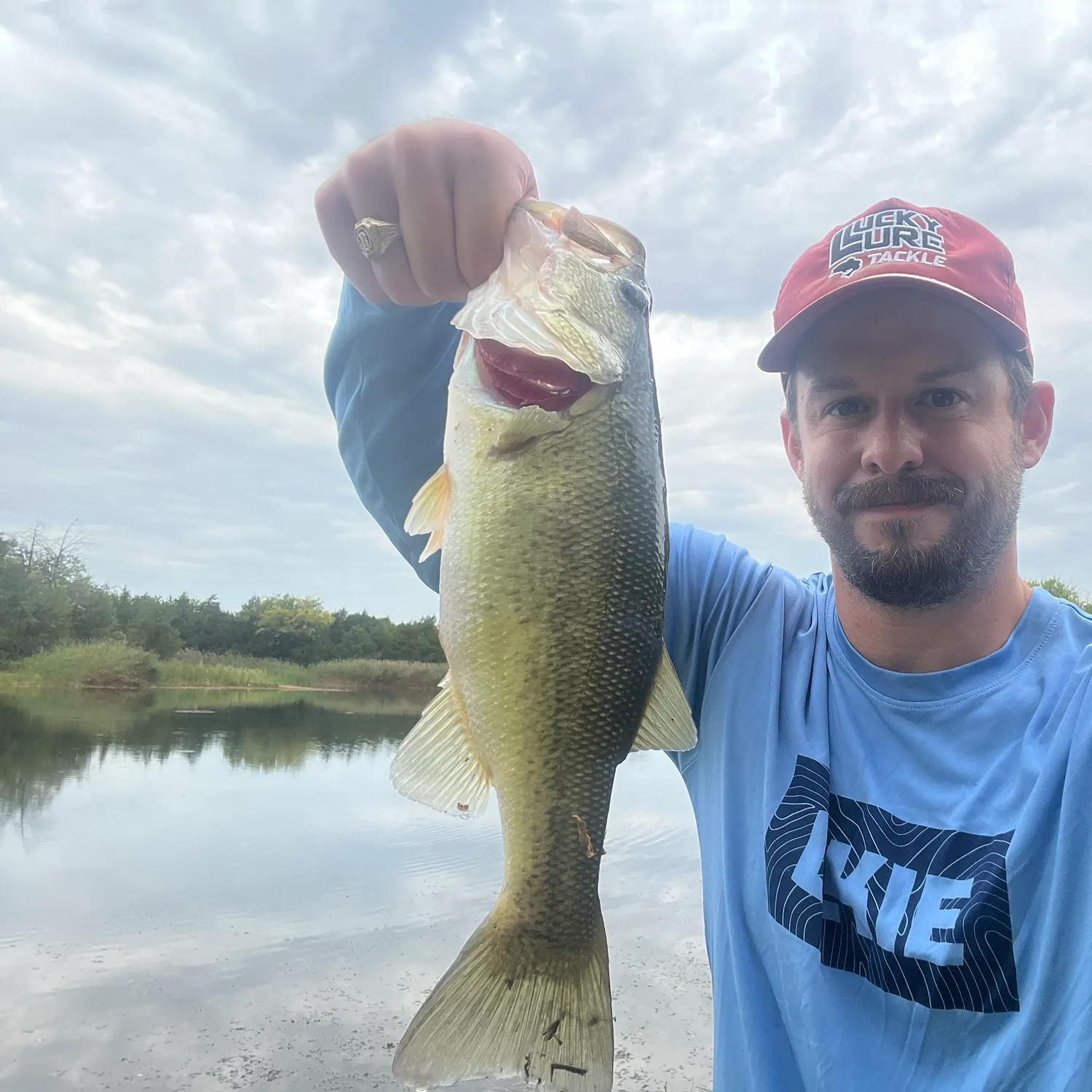 Largemouth bass caught on Fishbrain