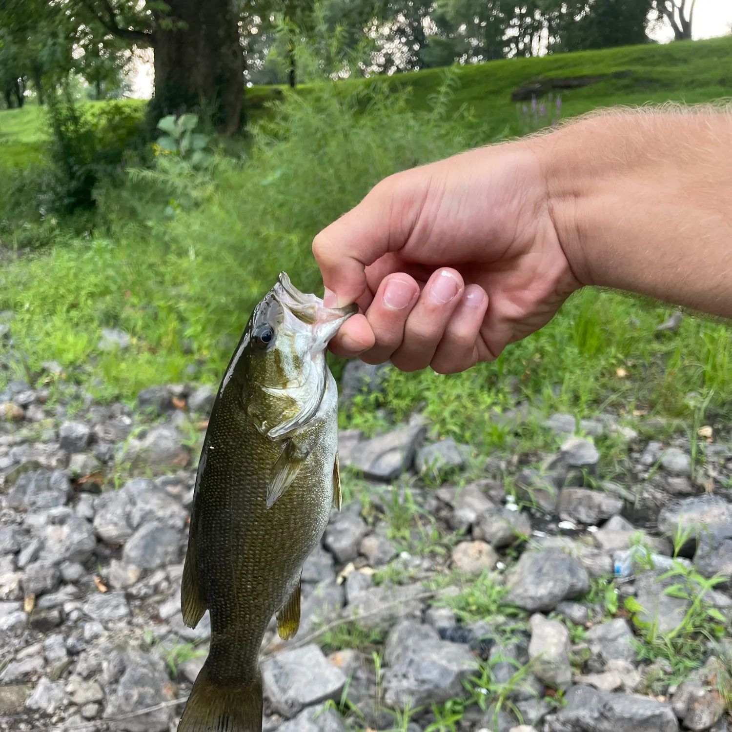catch