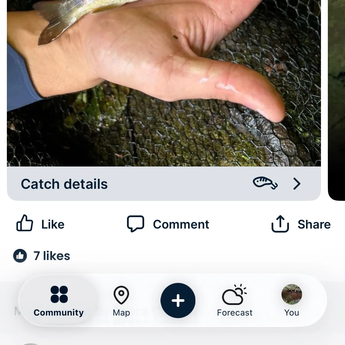 recently logged catches