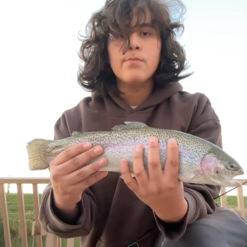 Rainbow trout caught on Fishbrain