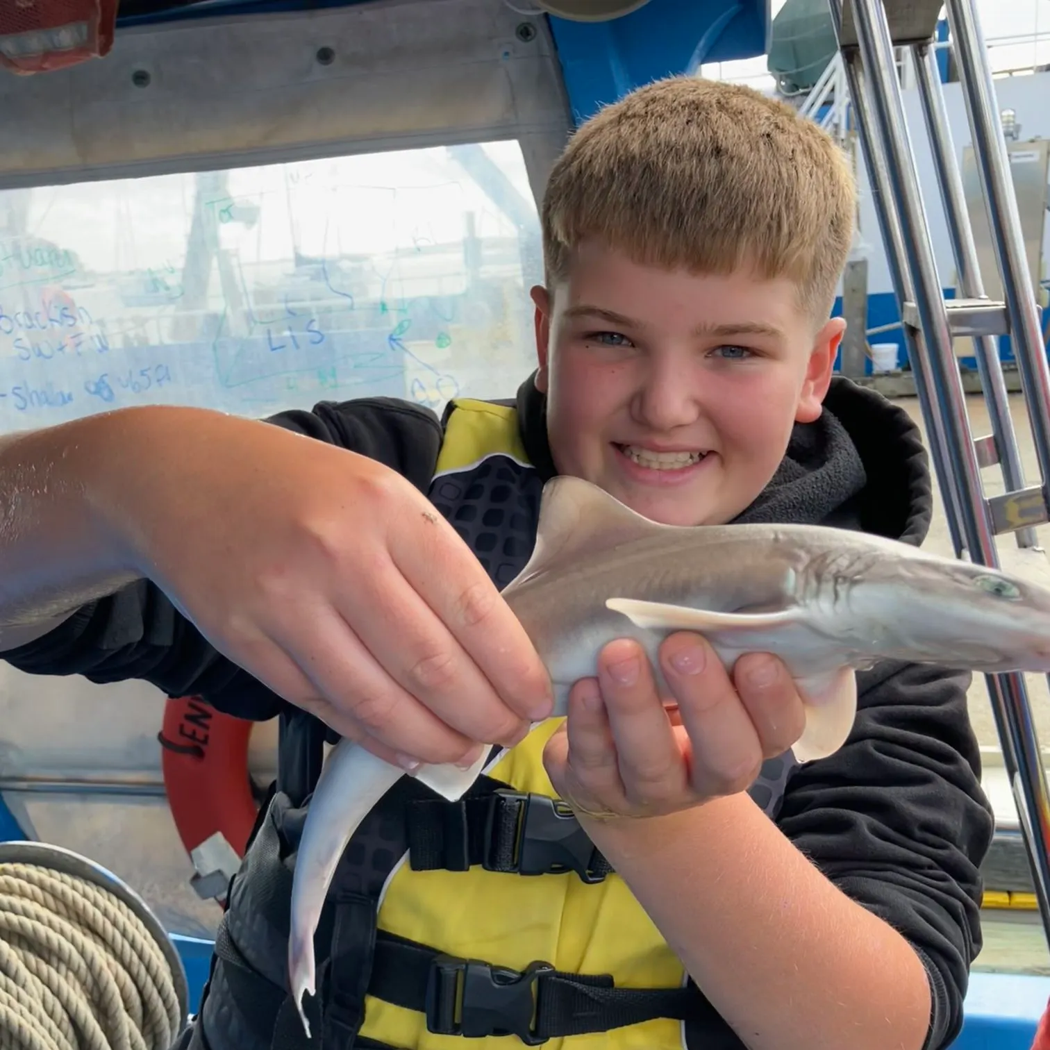 The most recent Common smooth-hound catches on Fishbrain