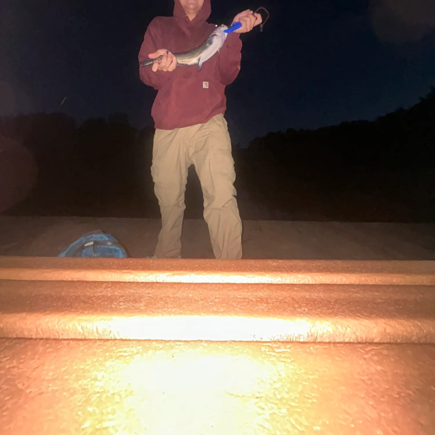 Channel catfish caught on Fishbrain