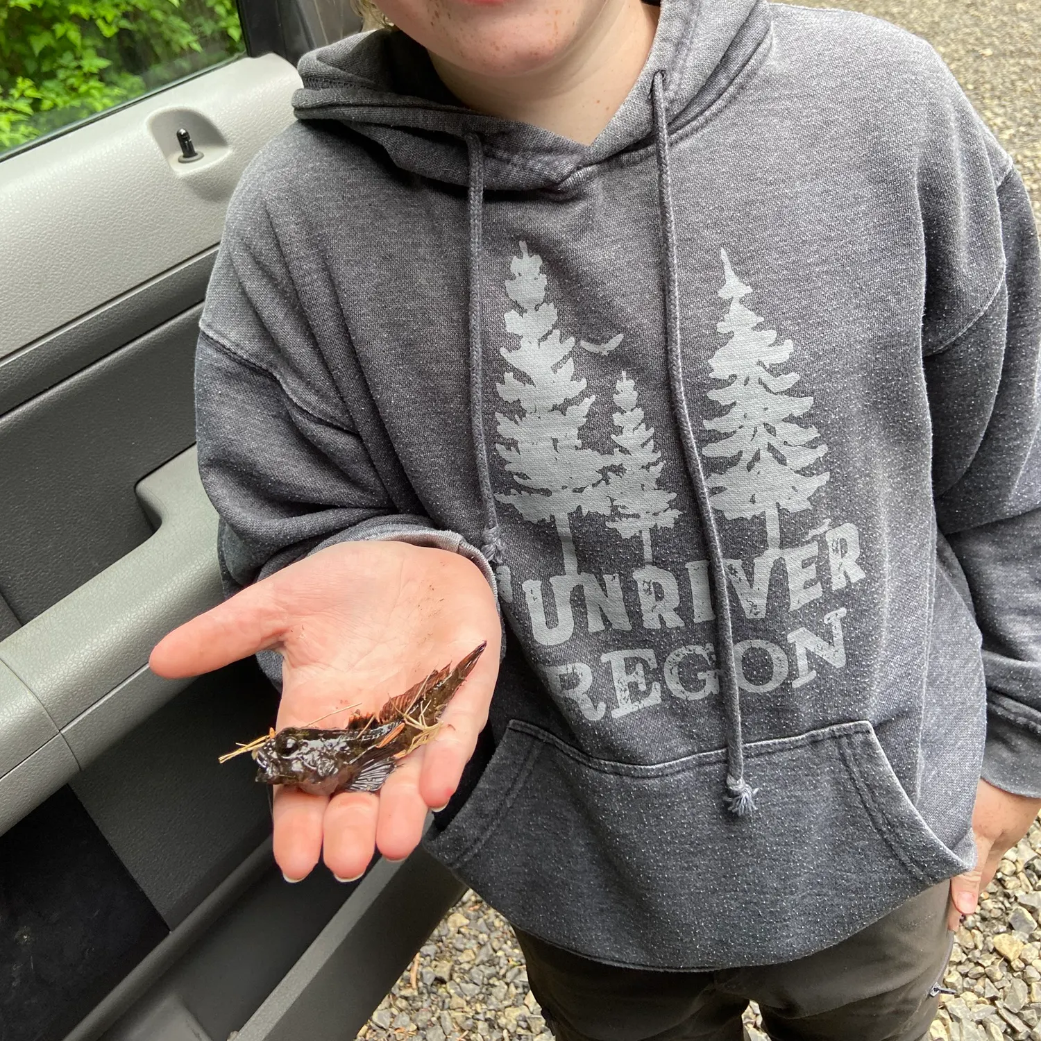 The most recent Longspined bullhead catches on Fishbrain