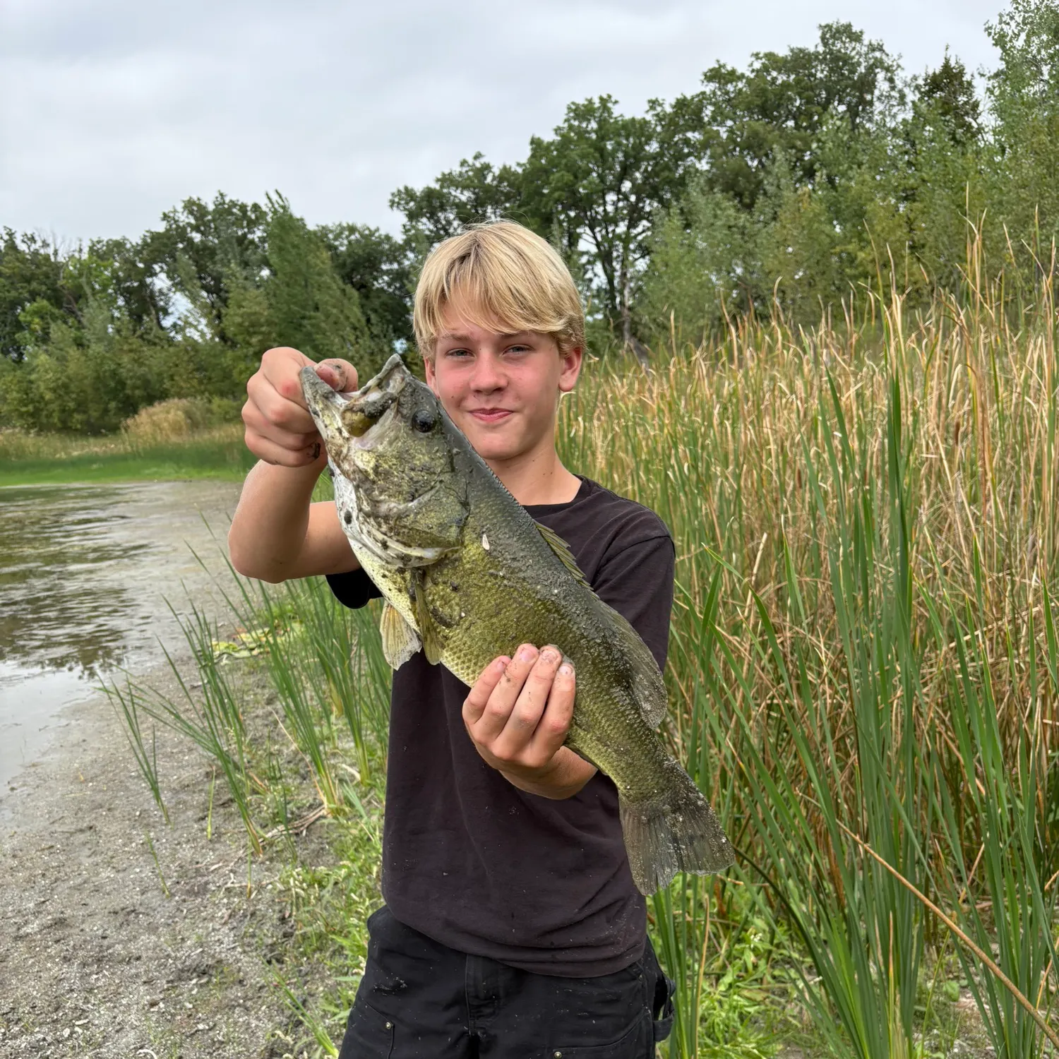 Largemouth bass caught on Fishbrain