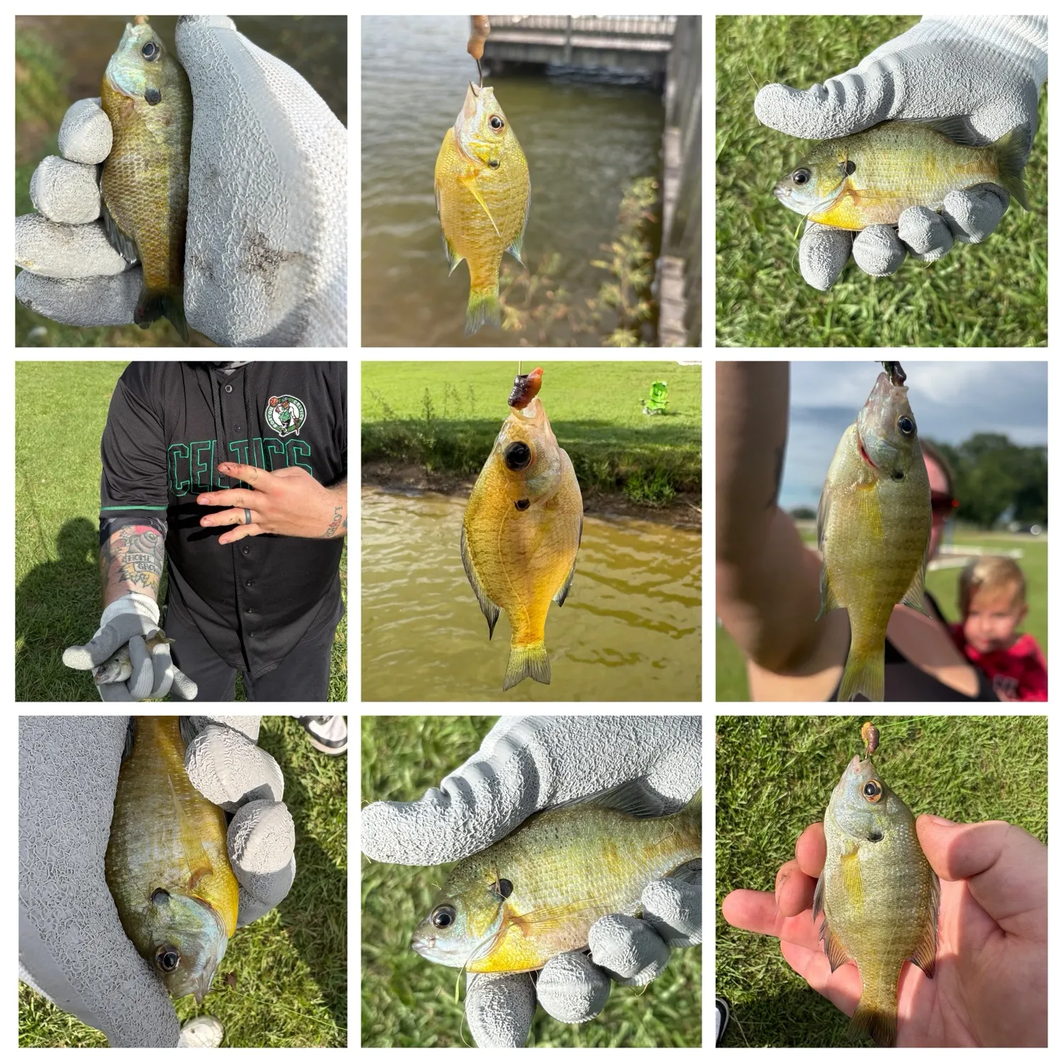 recently logged catches