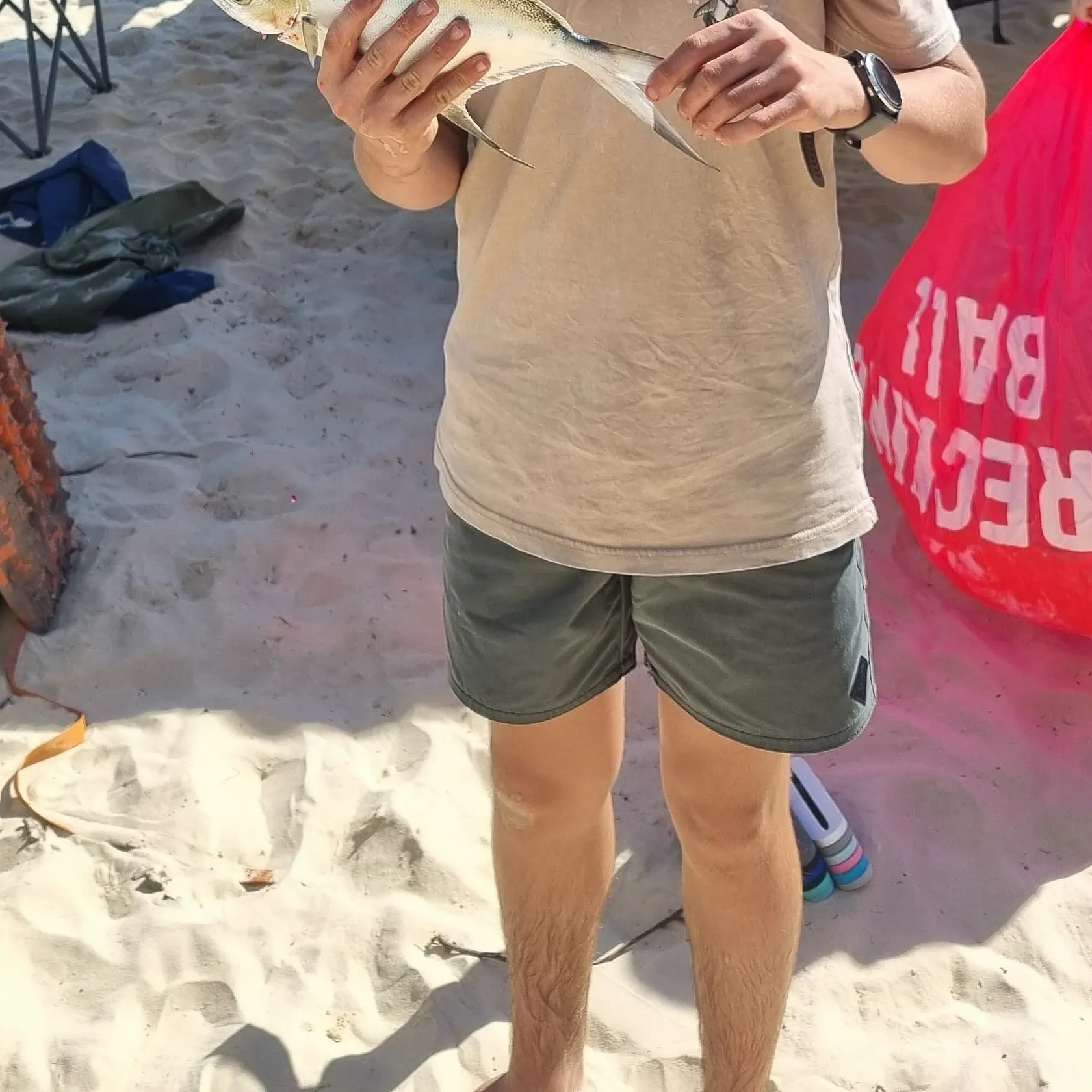 The most popular recent Swallowtail dart catch on Fishbrain