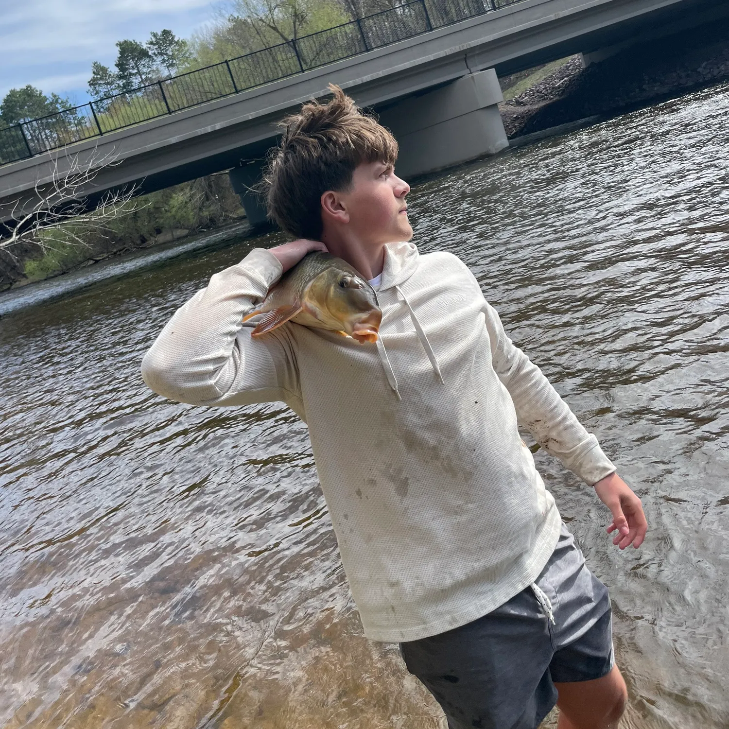 The most recent Shorthead redhorse catches on Fishbrain