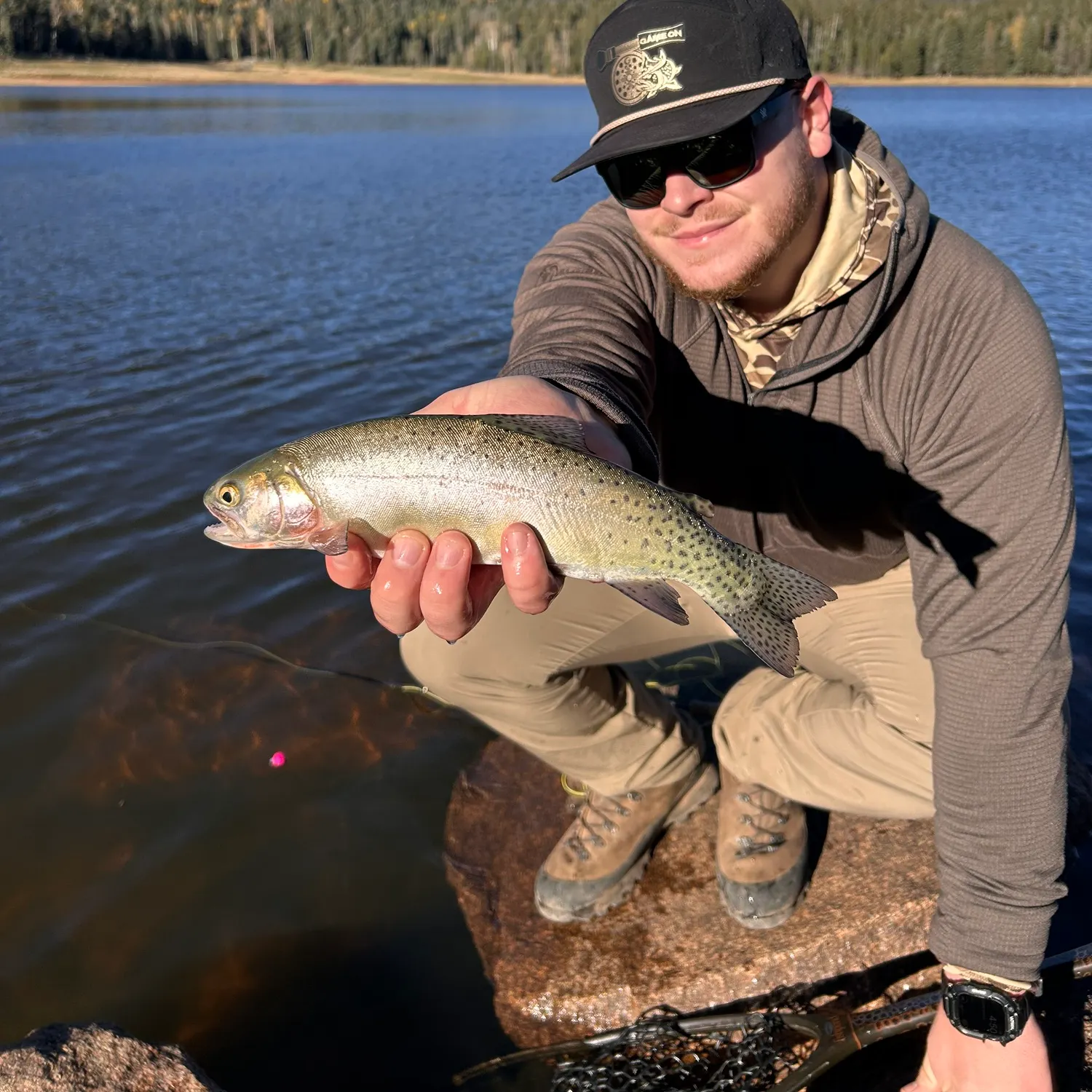 The most recent Rio Grande cutthroat trout catches on Fishbrain