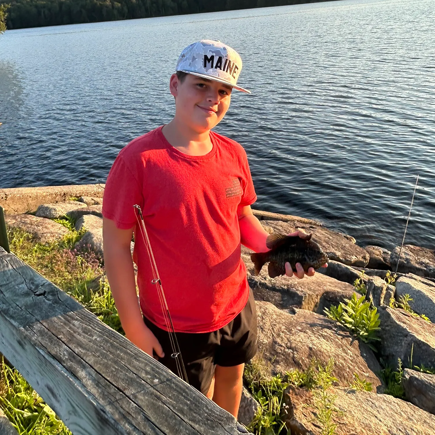 Bluegill caught on Fishbrain
