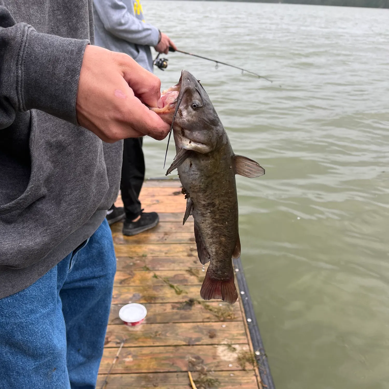 catch