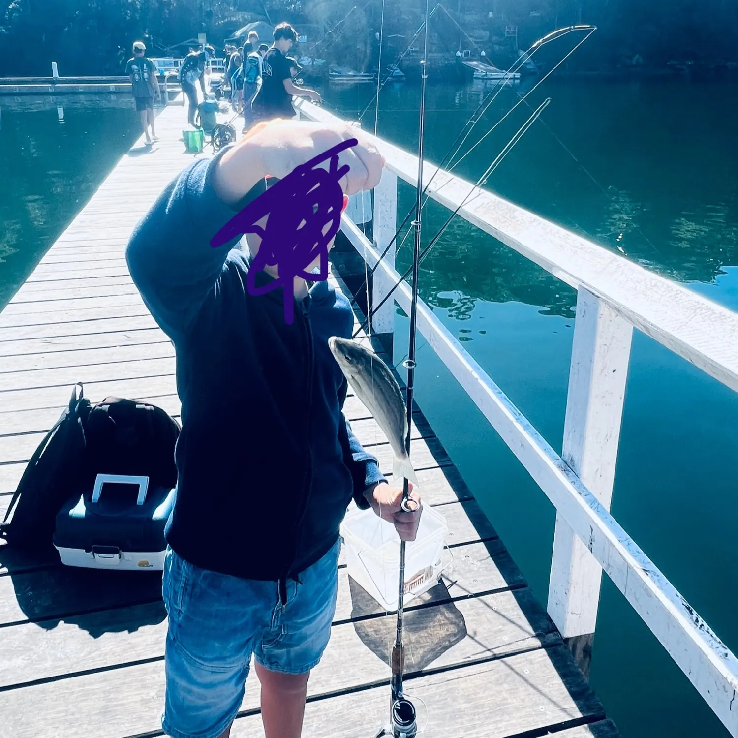 The most popular recent Striped bonito catch on Fishbrain