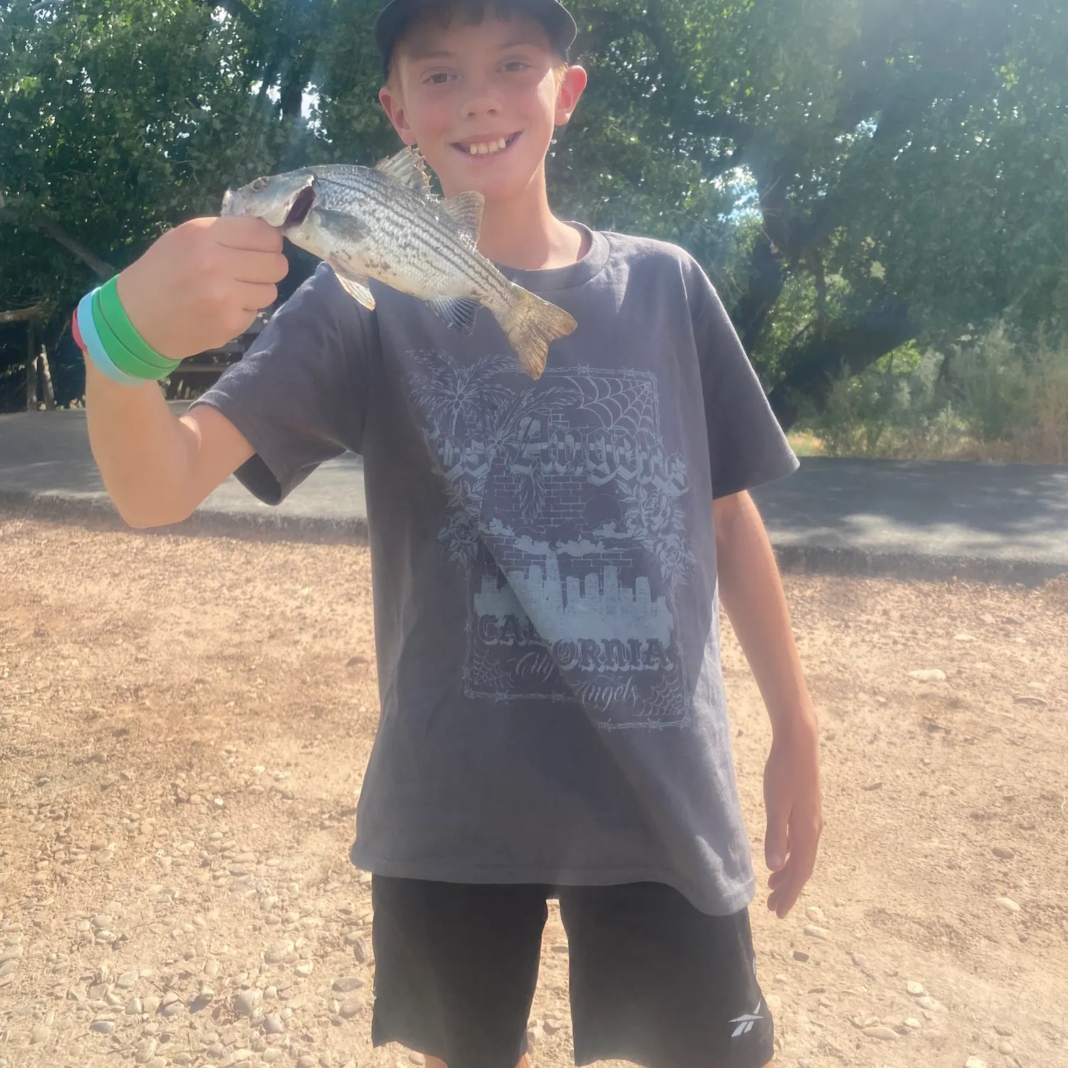 Wiper caught on Fishbrain