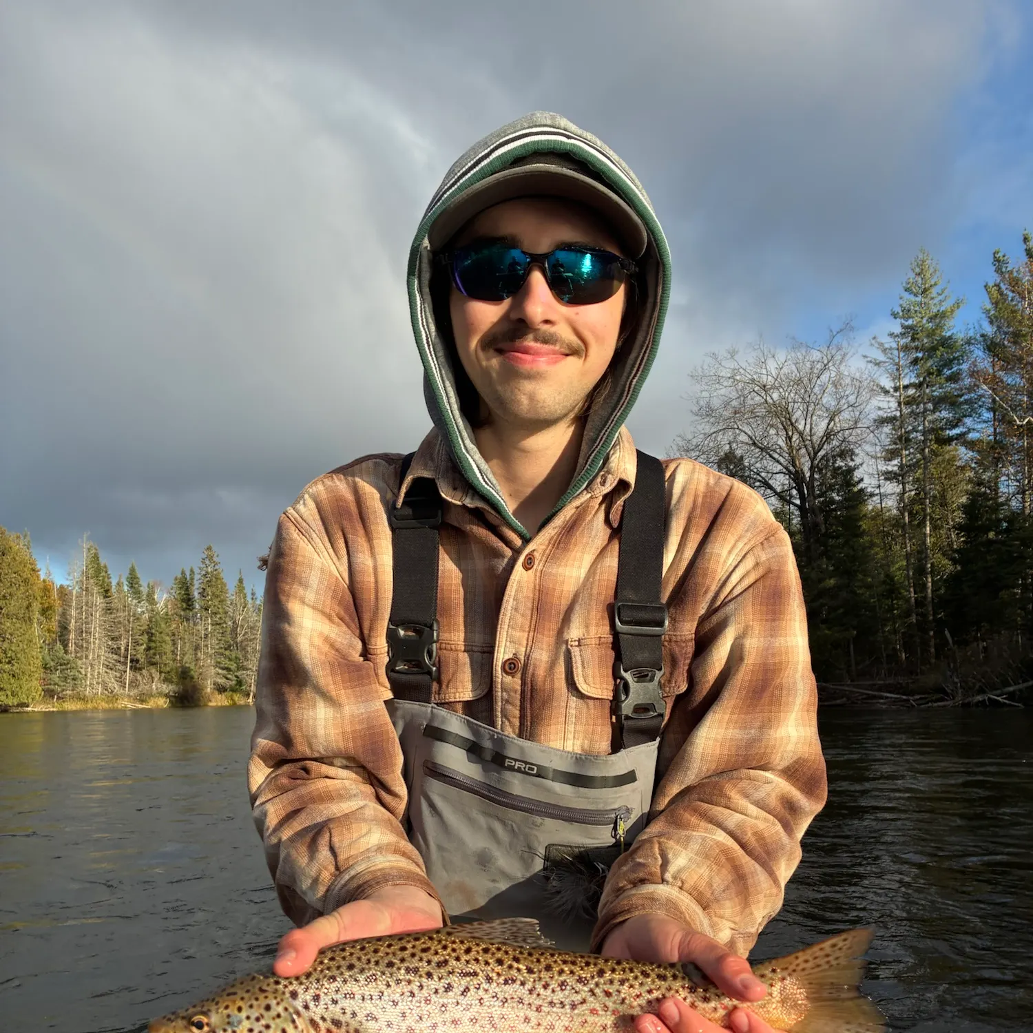 Brown trout caught on Fishbrain