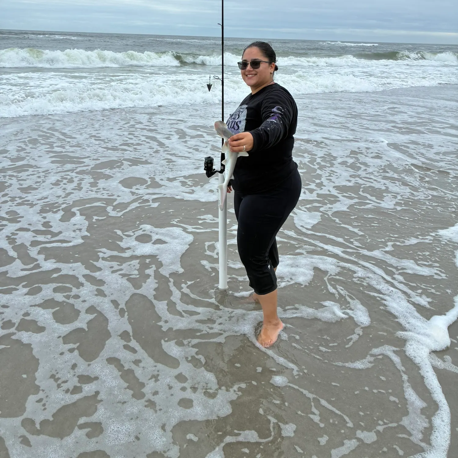 The most recent Bonnethead shark catches on Fishbrain