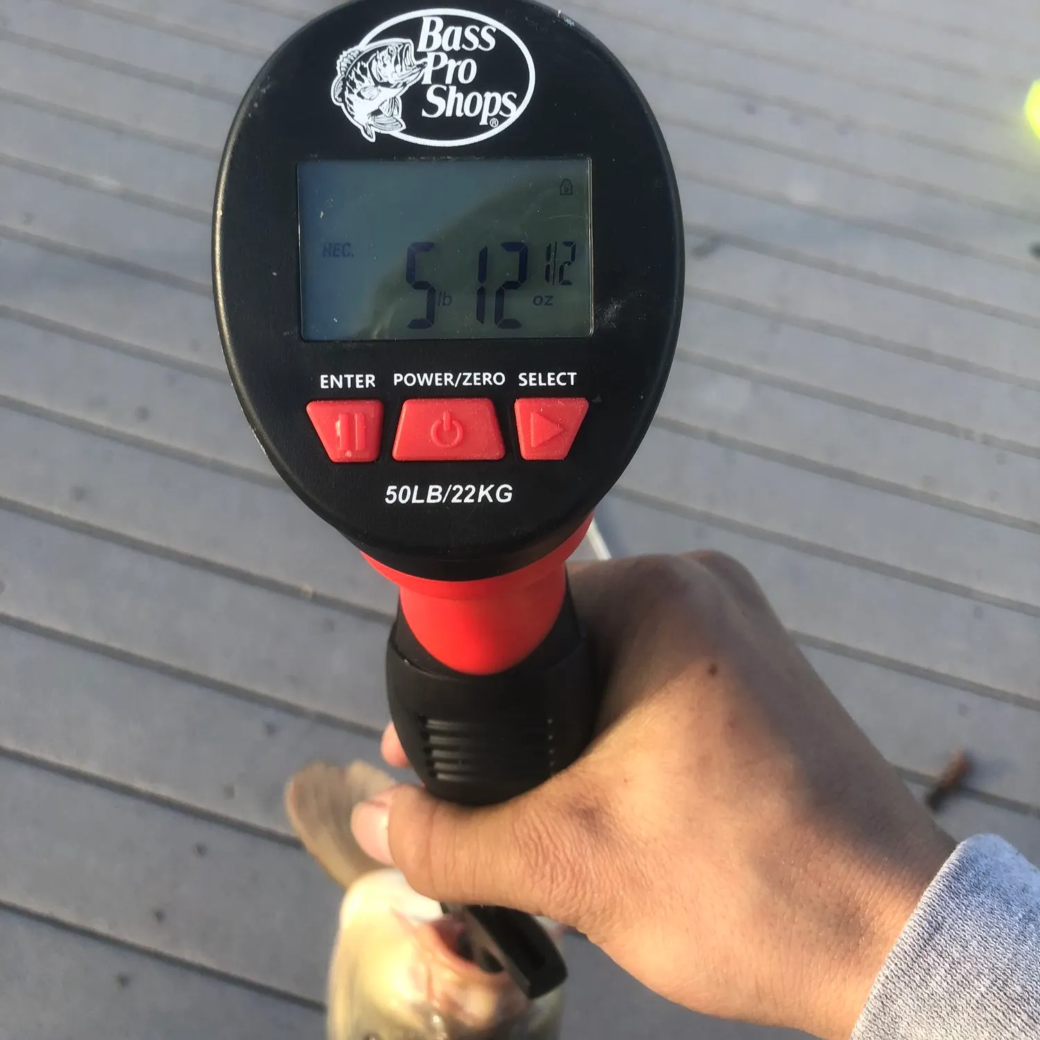 Fishing in El Paso, TX (United States) ️️️️ Find Spots, Species & Tips