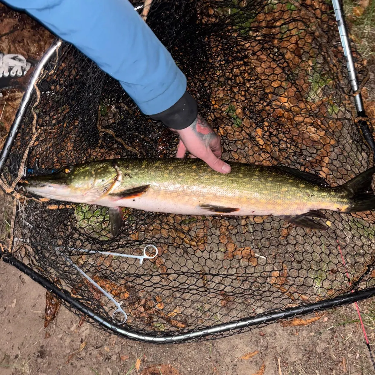 catch