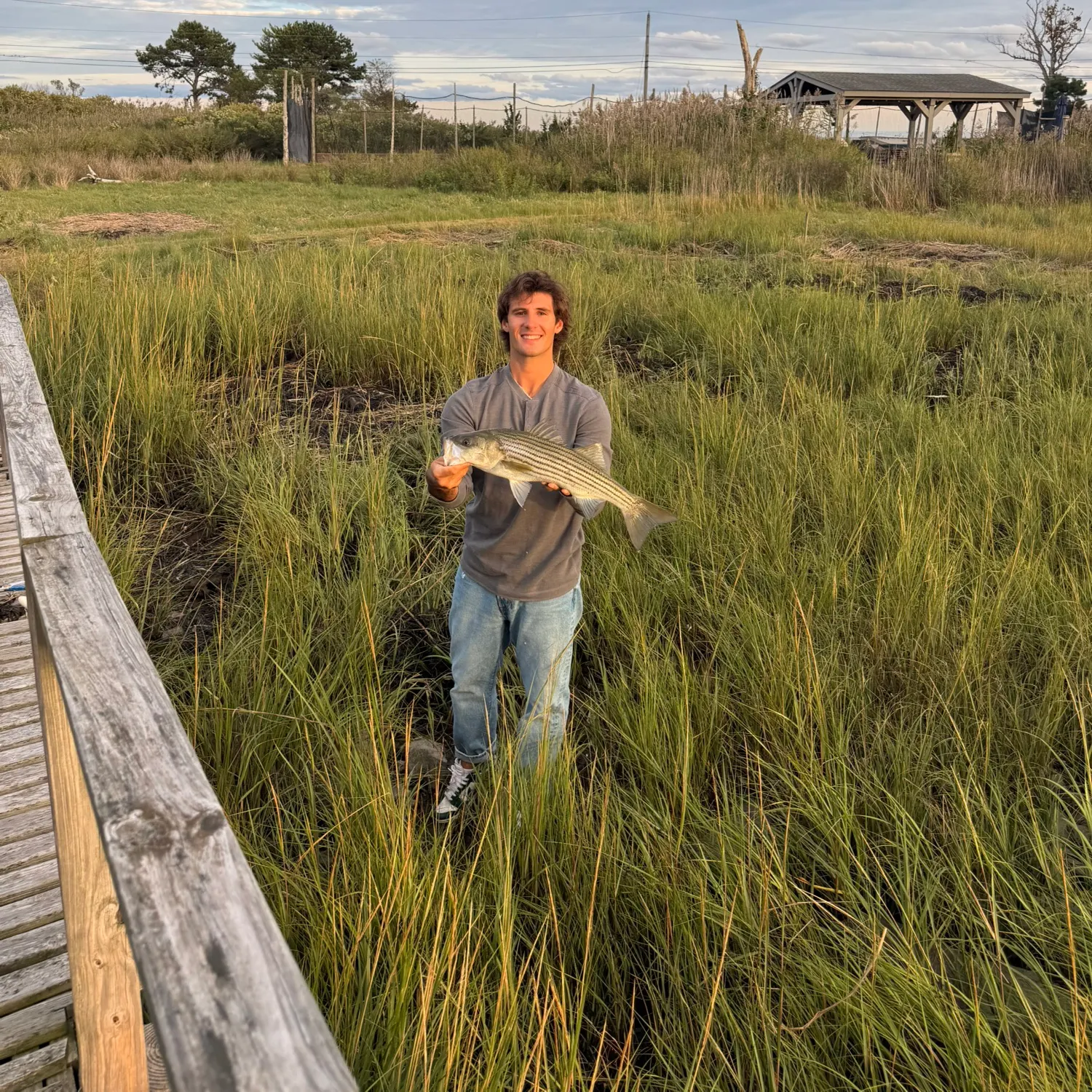 Striped bass caught on Fishbrain