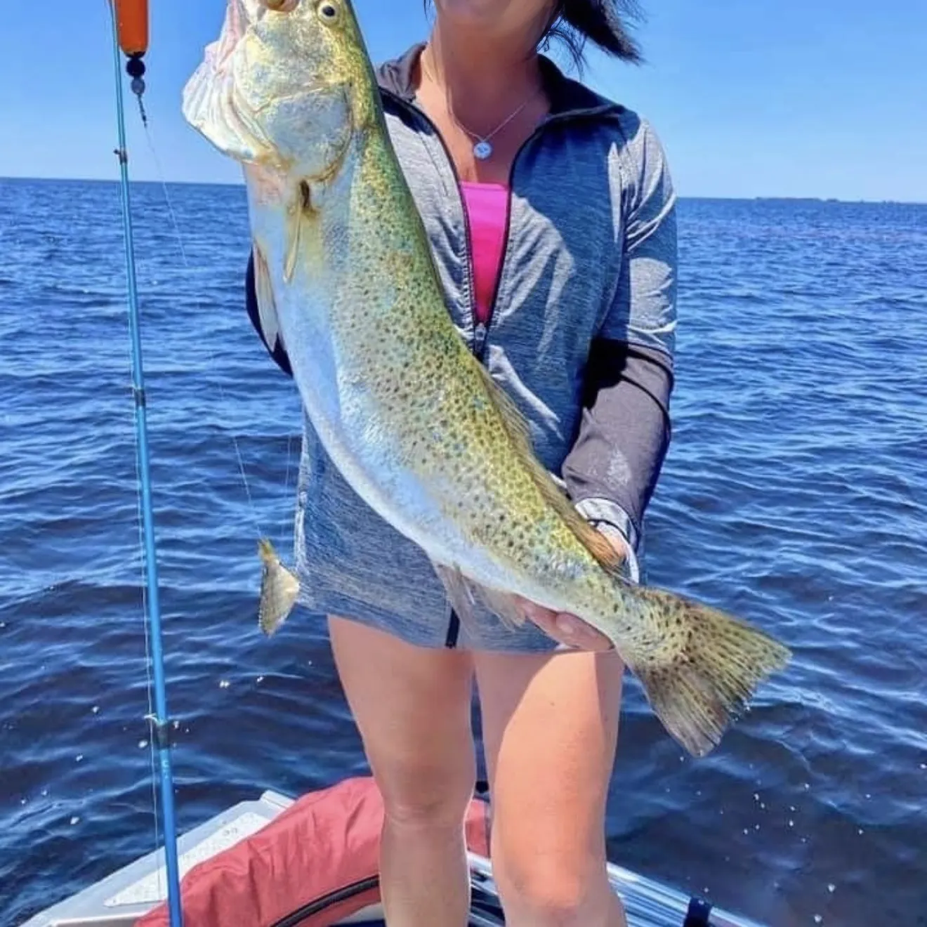 The most recent Spotted seatrout catches on Fishbrain