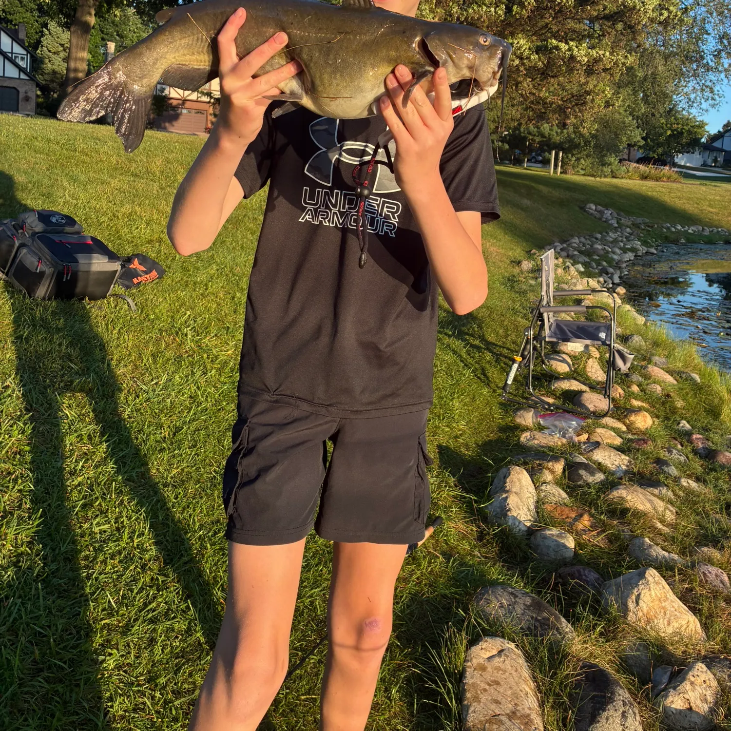 Channel catfish caught on Fishbrain