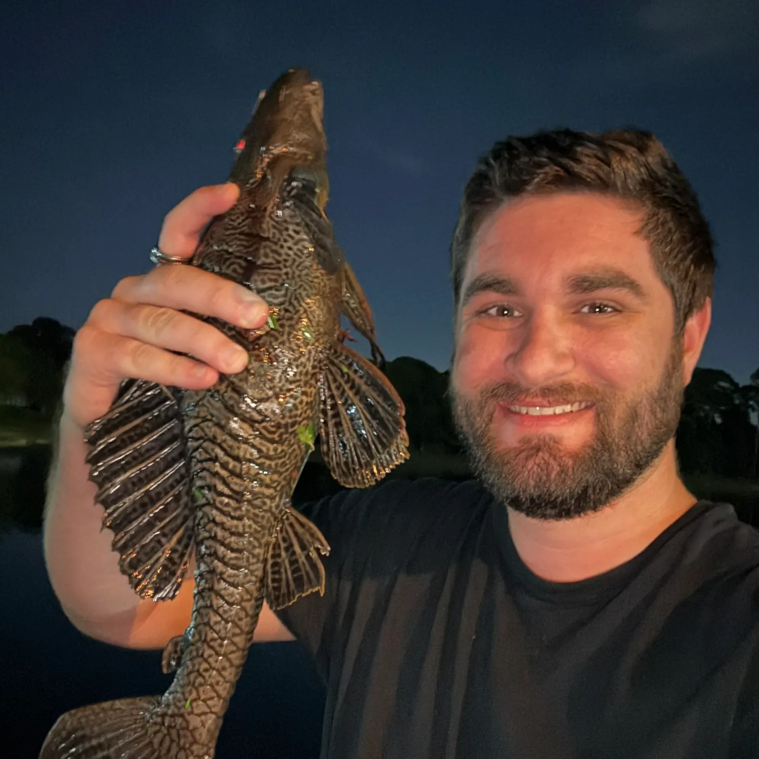 The most recent Suckermouth catfish catches on Fishbrain