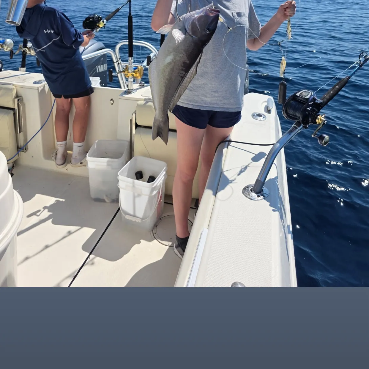The most recent Grey tilefish catches on Fishbrain