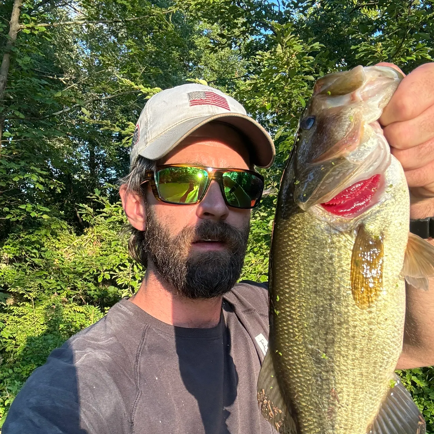 Largemouth bass caught on Fishbrain