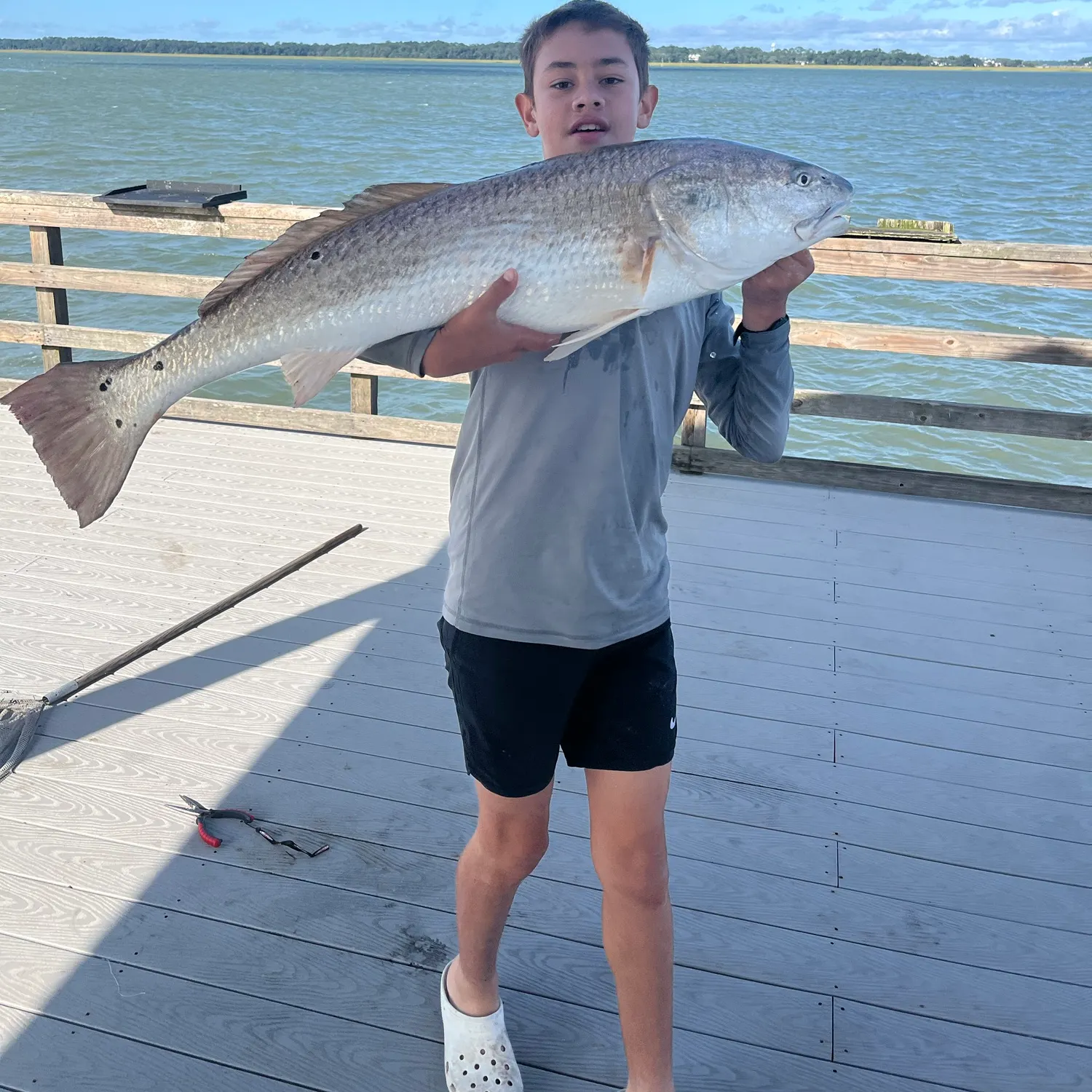Red drum caught on Fishbrain