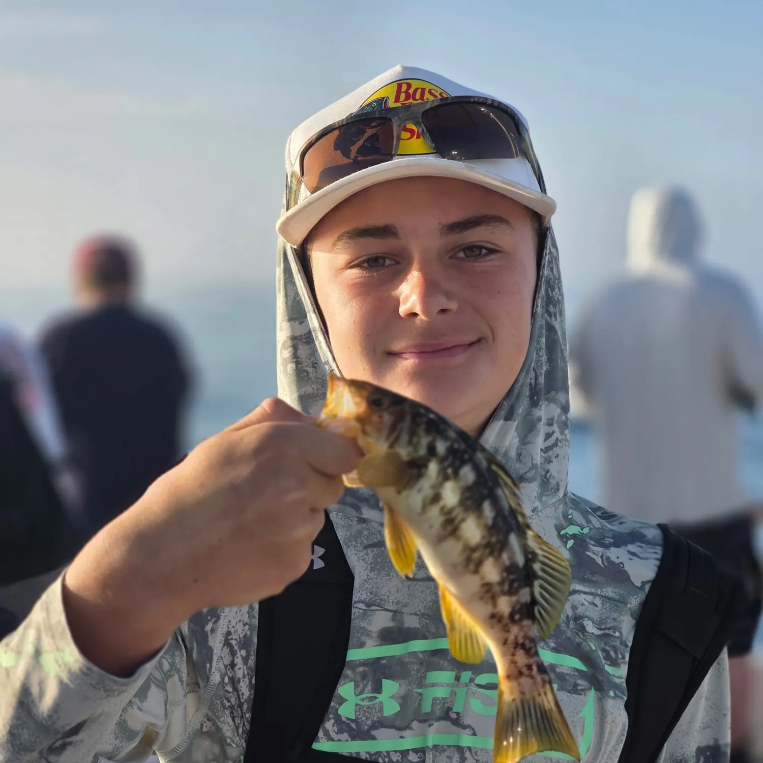 Kelp bass caught on Fishbrain