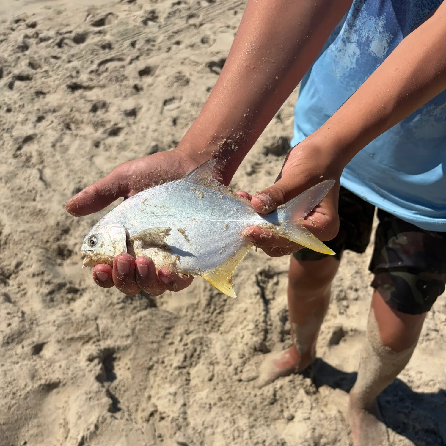 Florida pompano caught on Fishbrain