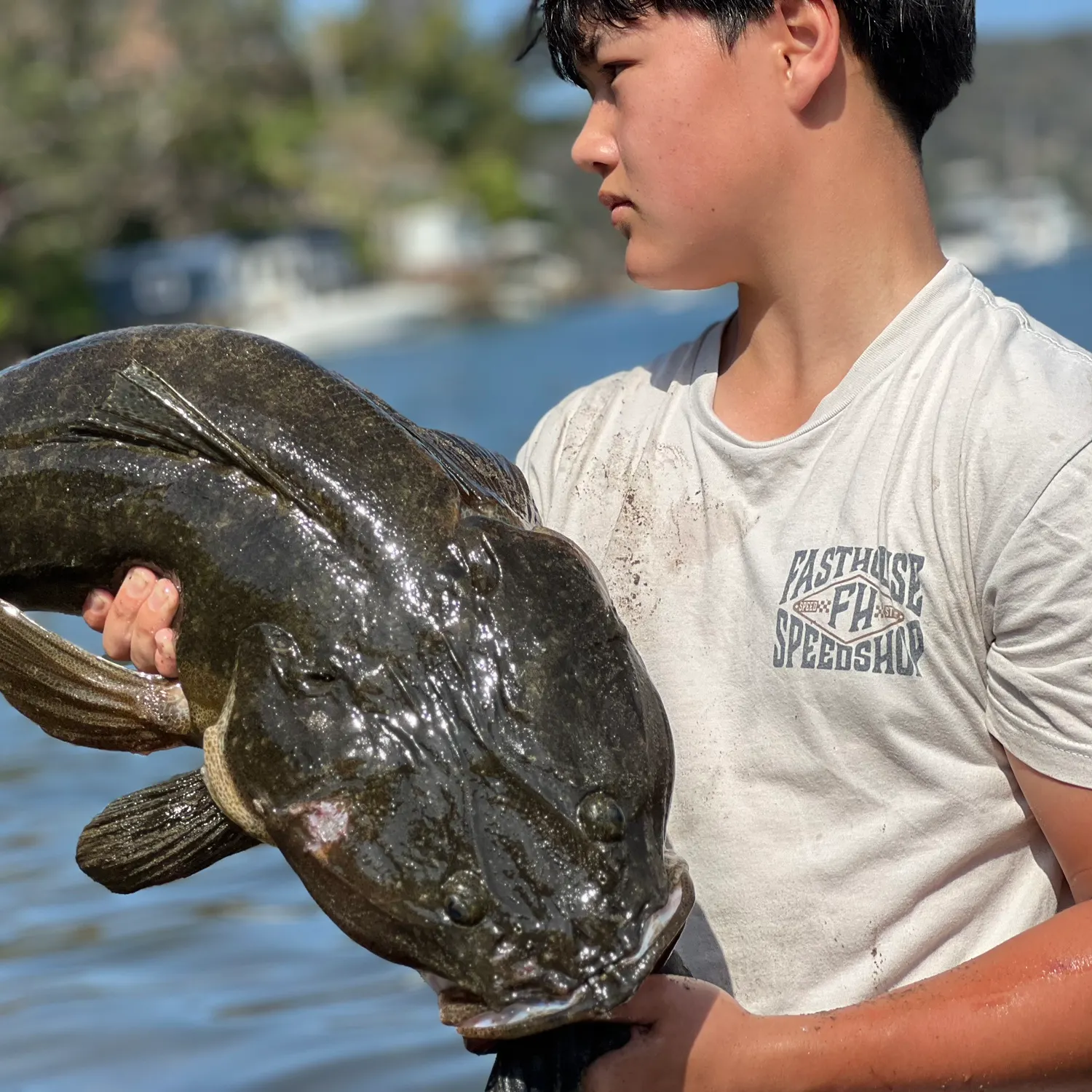Dusky flathead caught on Fishbrain