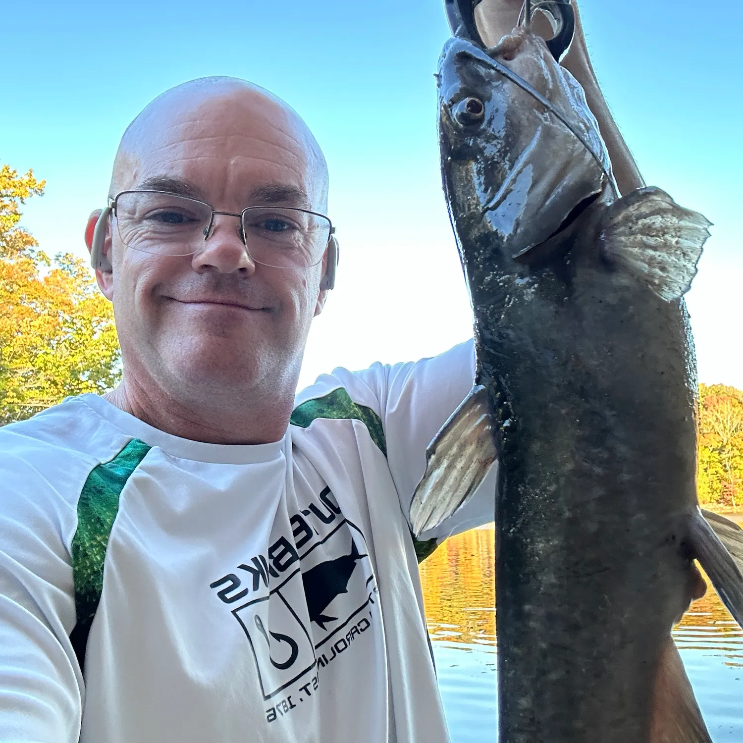 Channel catfish caught on Fishbrain