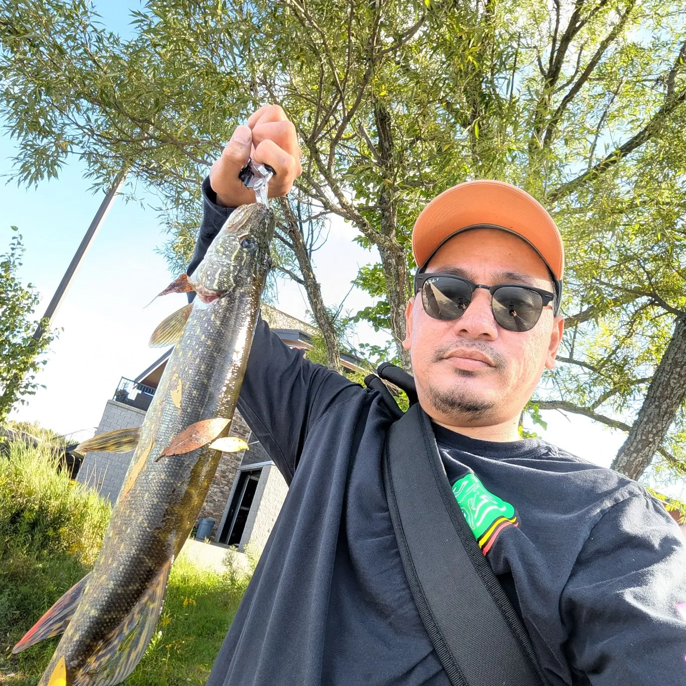 Northern pike caught on Fishbrain