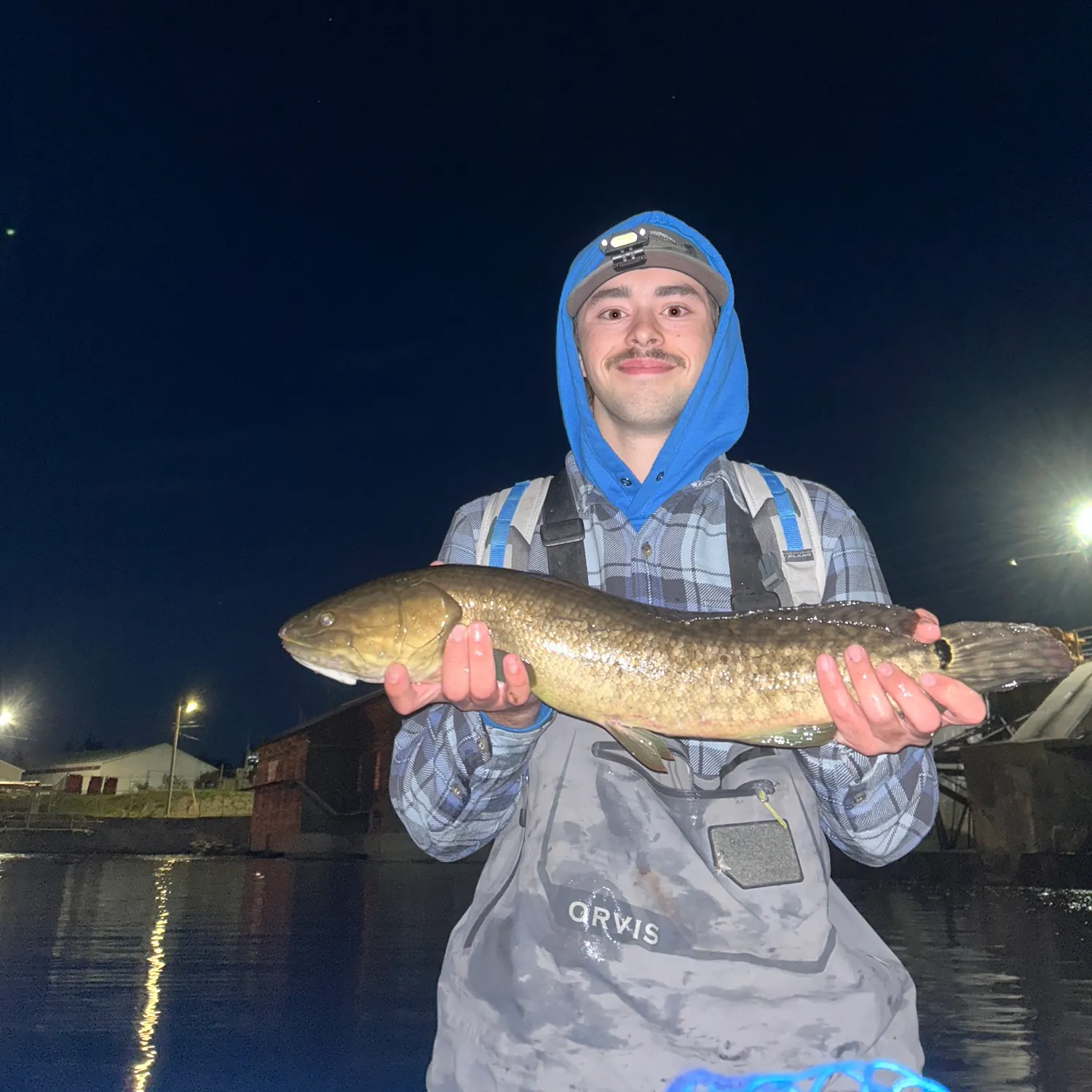 Eyetail bowfin caught on Fishbrain