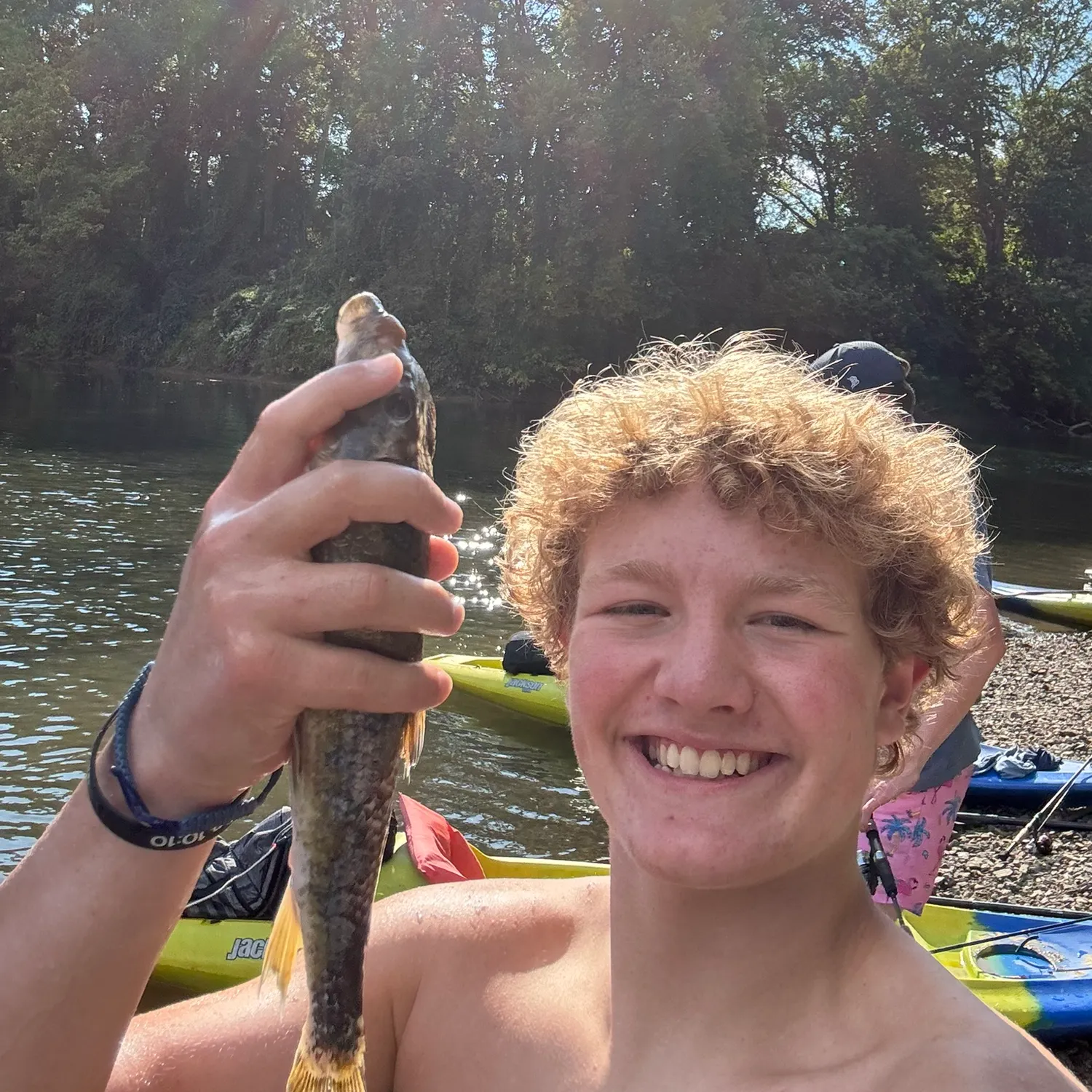 Northern hogsucker caught on Fishbrain