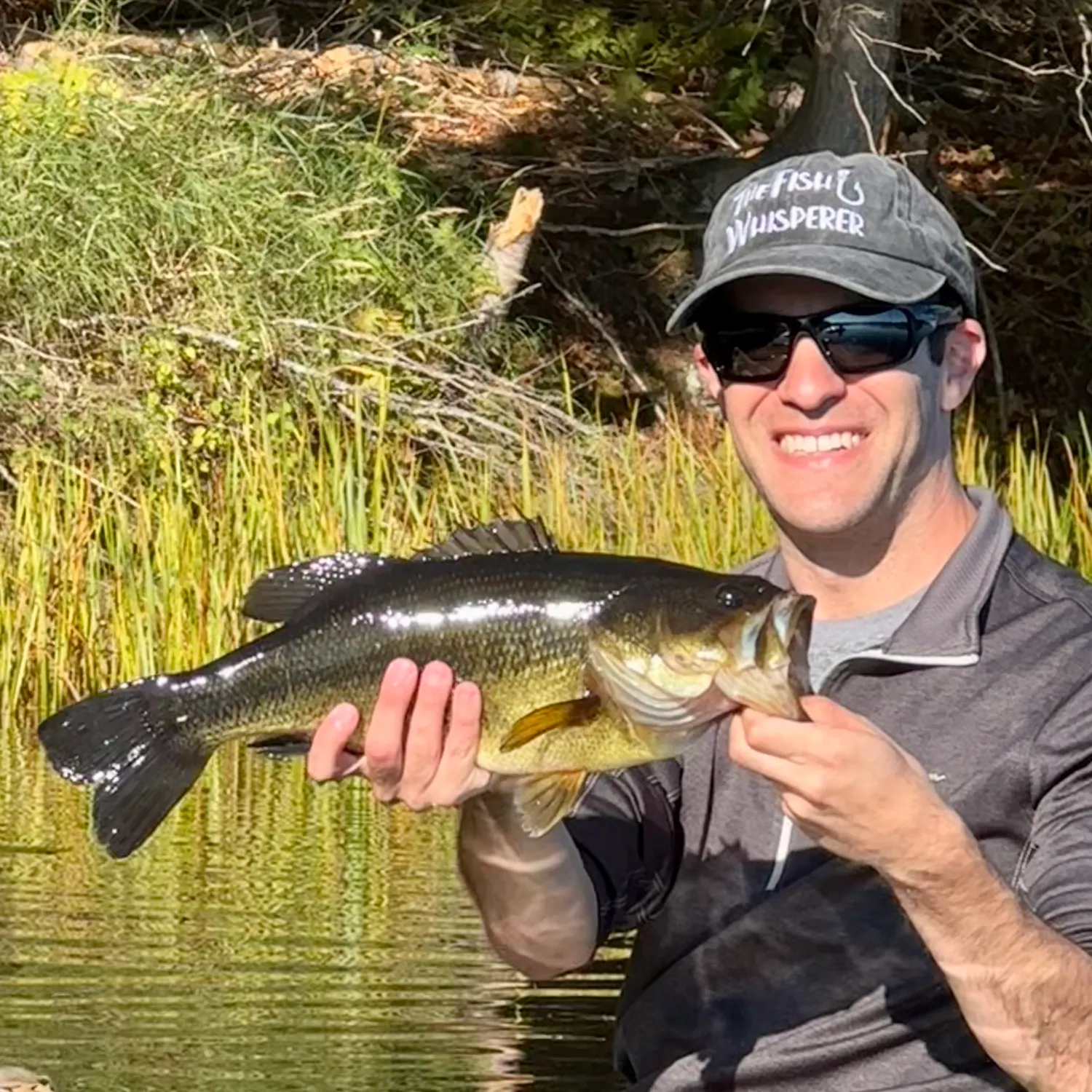Largemouth bass caught on Fishbrain