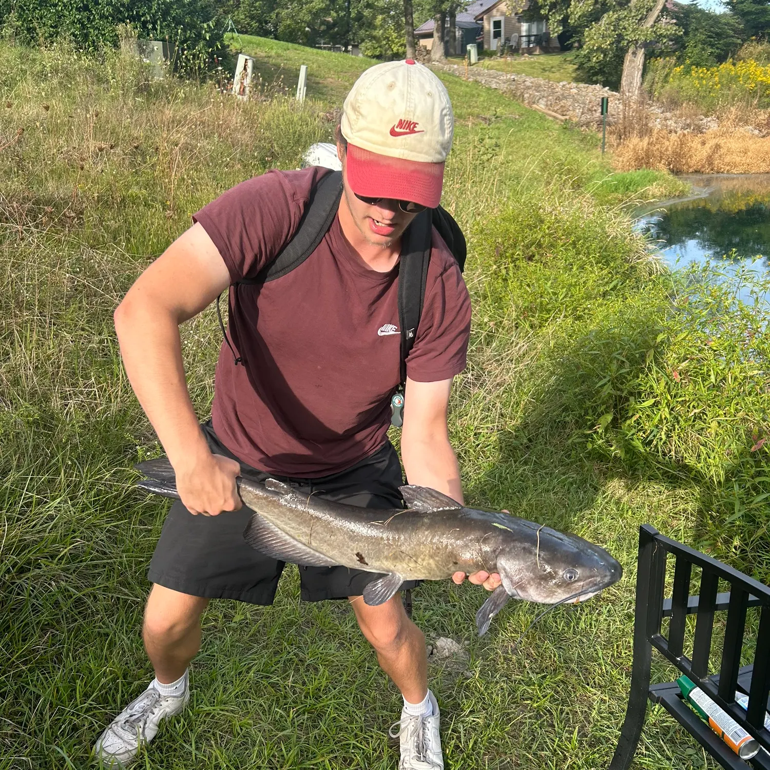 Channel catfish caught on Fishbrain