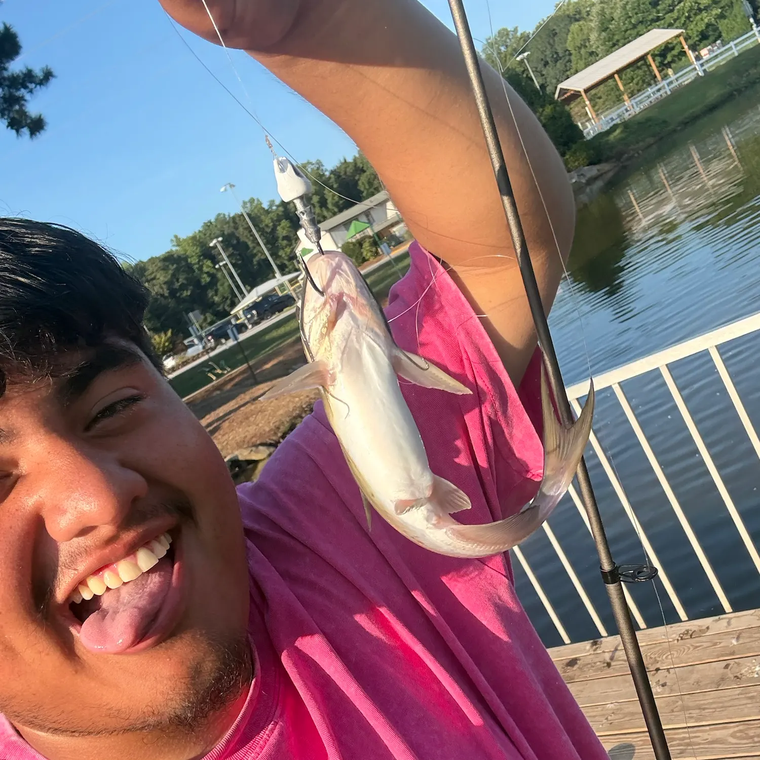 Channel catfish caught on Fishbrain