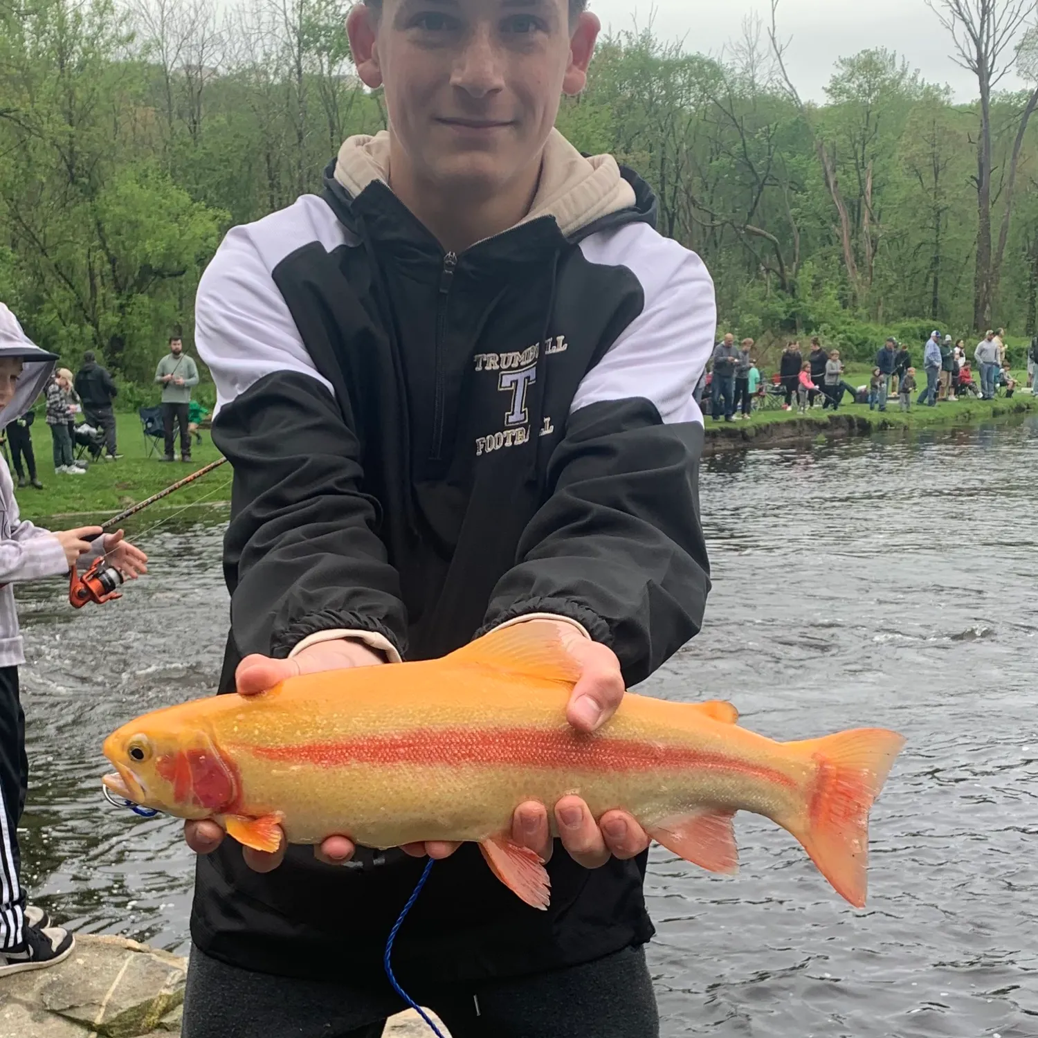 most liked catch image