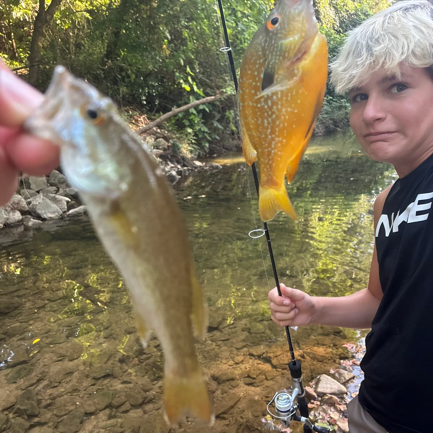 The most recent Redeye bass catches on Fishbrain