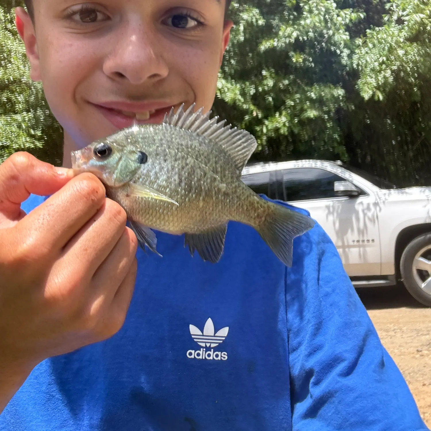 angler catch