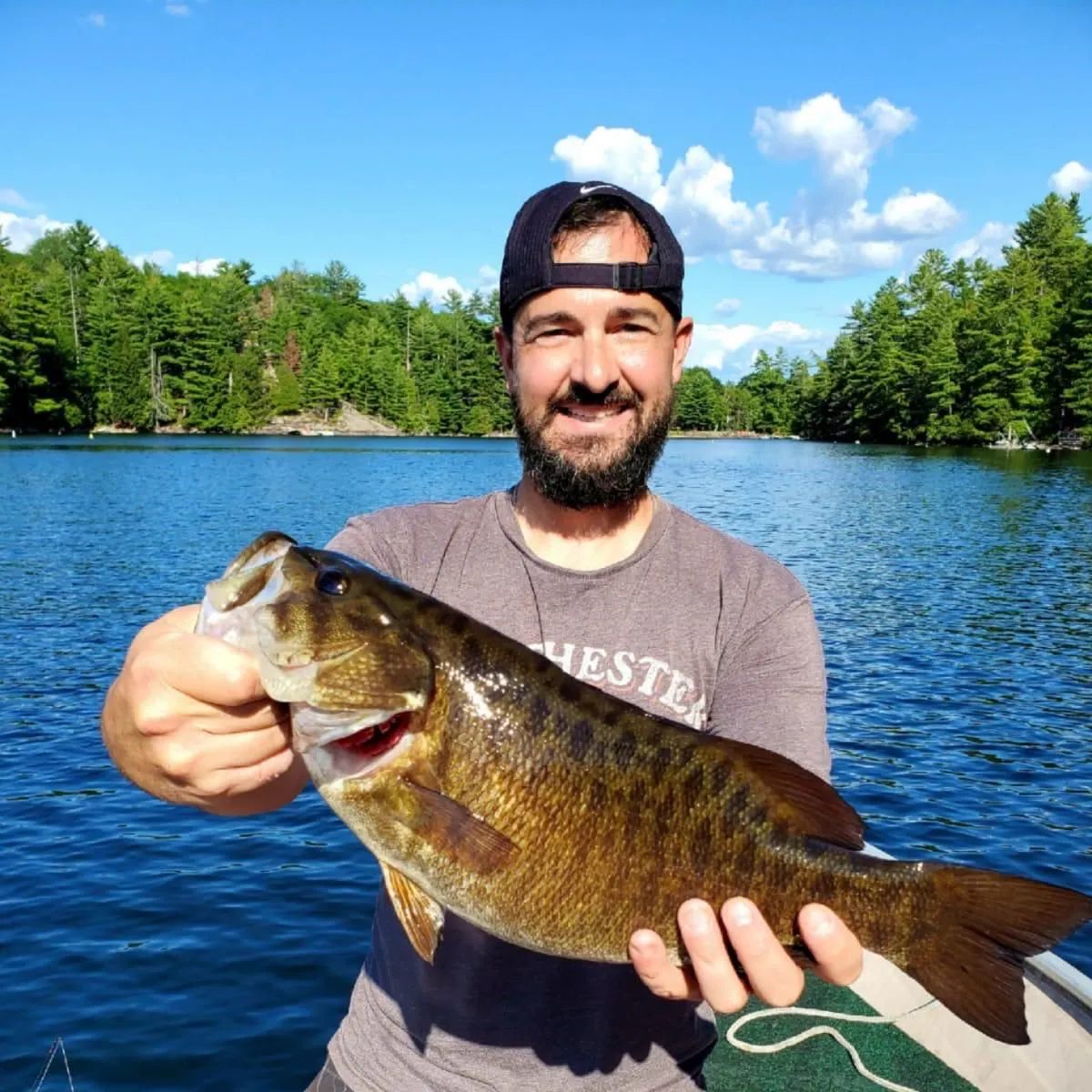 Smallmouth bass caught on Fishbrain
