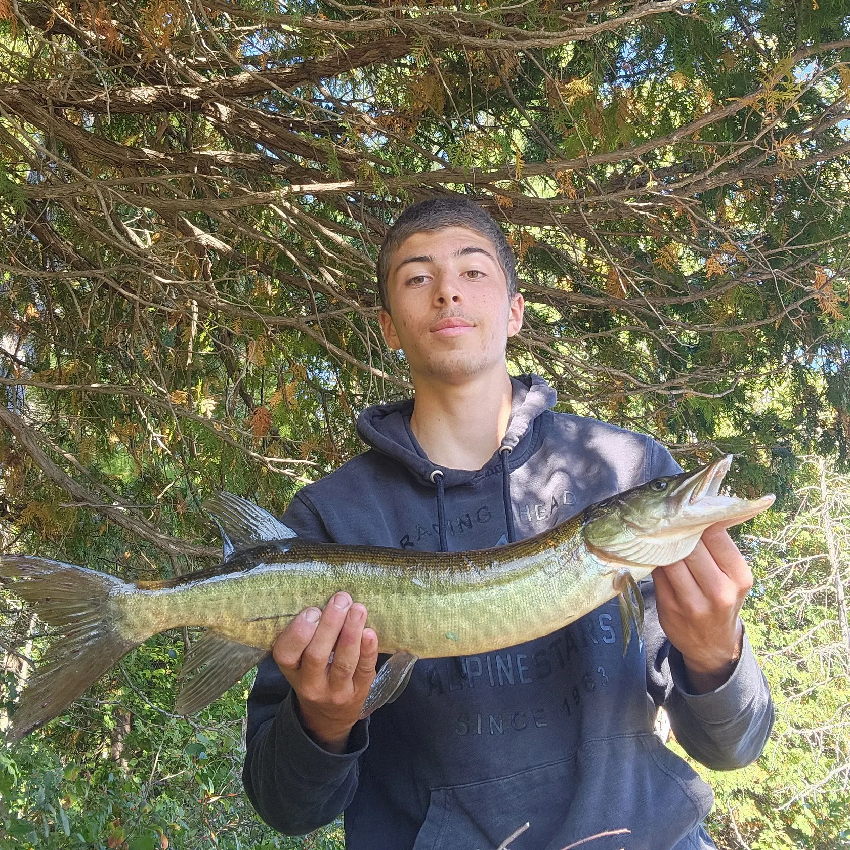The most recent Muskie catches on Fishbrain