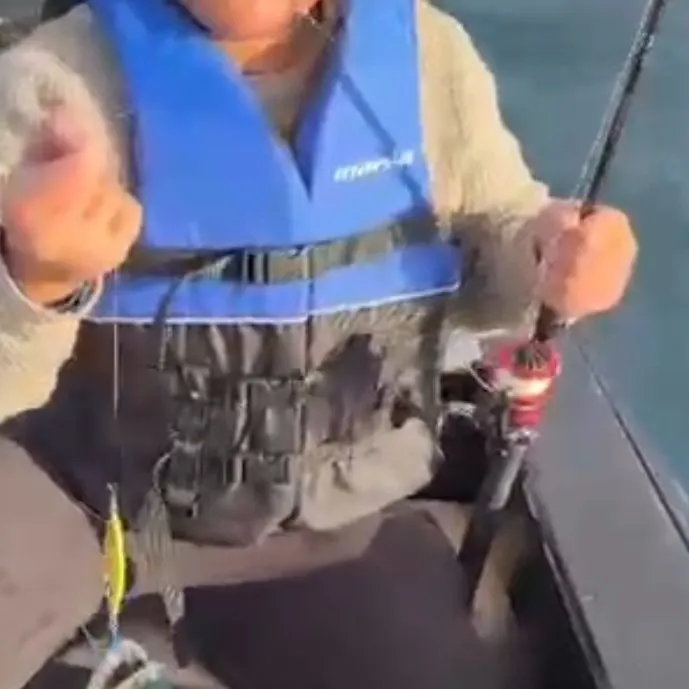 The most recent Striped bonito catches on Fishbrain