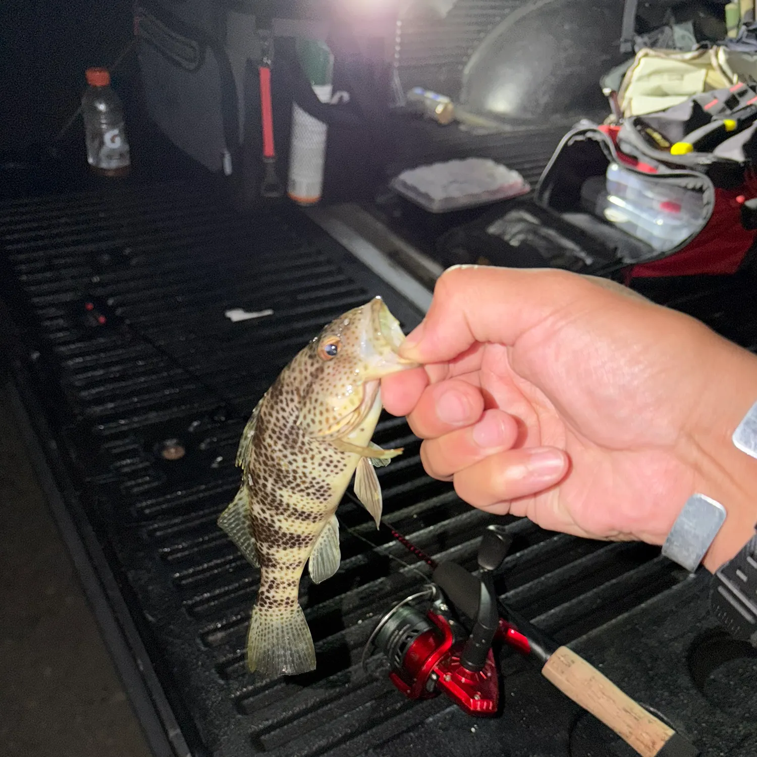 catch