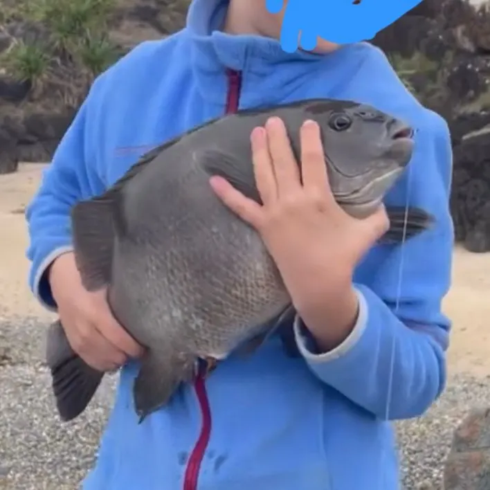 The most recent Black drummer catches on Fishbrain