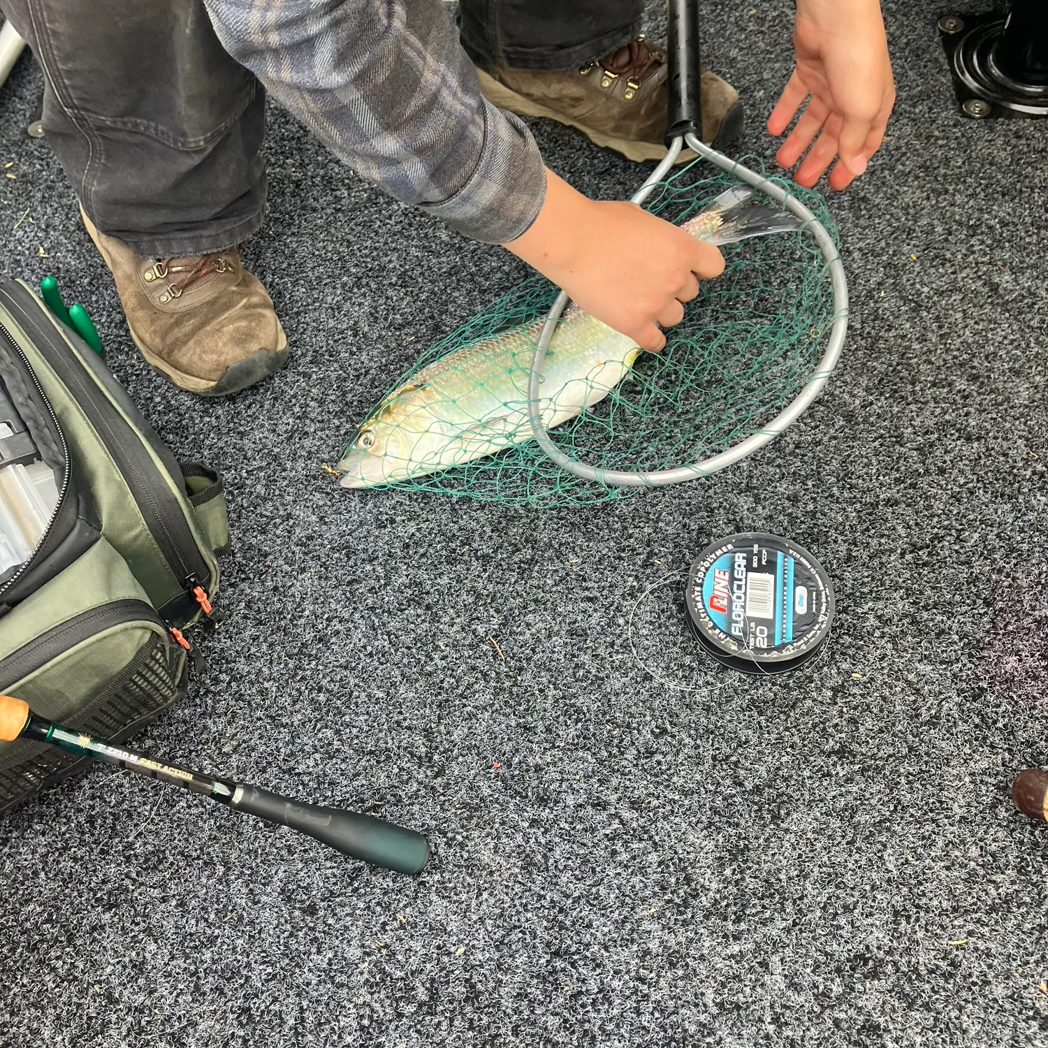 catch