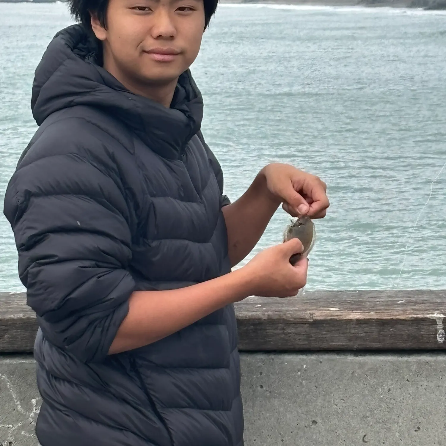 The most recent Pacific halibut catches on Fishbrain